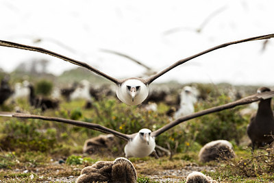 BUITEN BEELD Foto: 242877