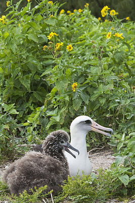BUITEN BEELD Foto: 242890