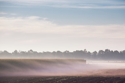 BUITEN BEELD Foto: 242962