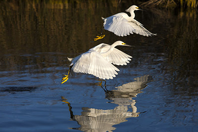 BUITEN BEELD Foto: 242998