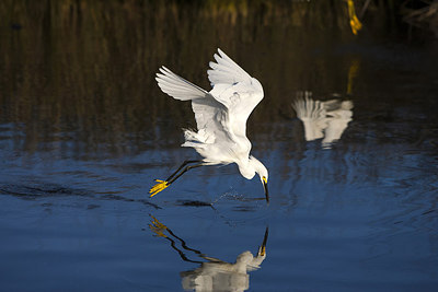 BUITEN BEELD Foto: 242999