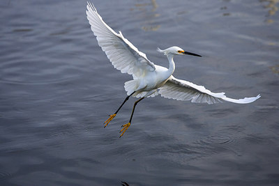 BUITEN BEELD Foto: 243000