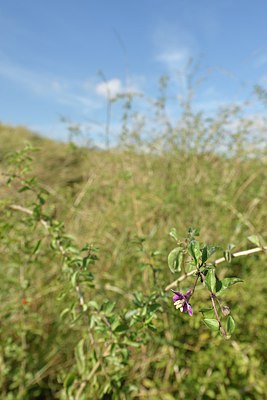 BUITEN BEELD Foto: 243030