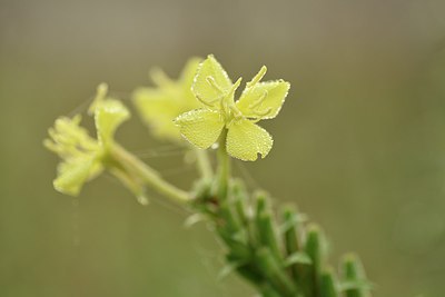 BUITEN BEELD Foto: 243034