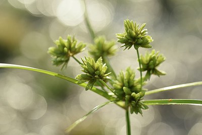 BUITEN BEELD Foto: 243045