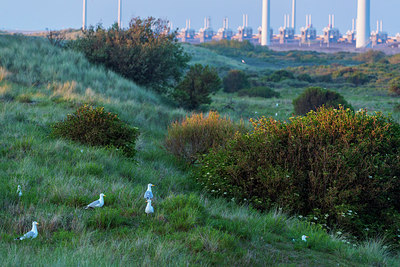 BUITEN BEELD Foto: 243147