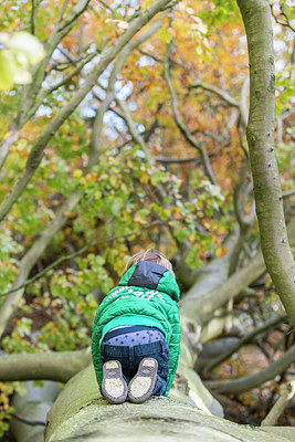BUITEN BEELD Foto: 243163