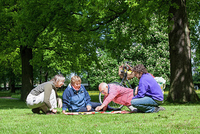 BUITEN BEELD Foto: 243618