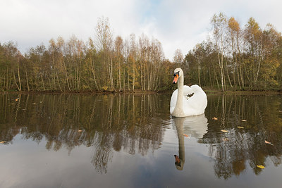 BUITEN BEELD Foto: 243653