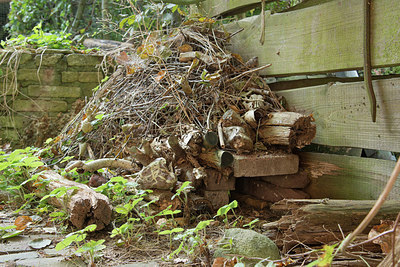 BUITEN BEELD Foto: 243665