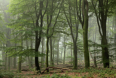 BUITEN BEELD Foto: 244029