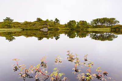 BUITEN BEELD Foto: 244068