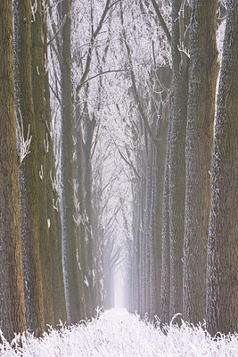 BUITEN BEELD Foto: 244084
