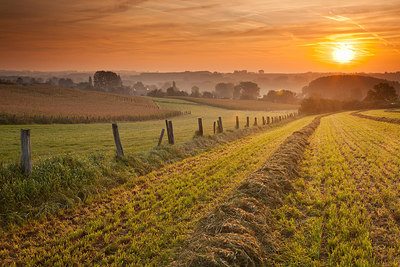 BUITEN BEELD Foto: 244119