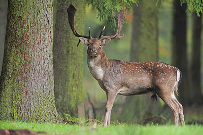 BUITEN BEELD Foto: 244193