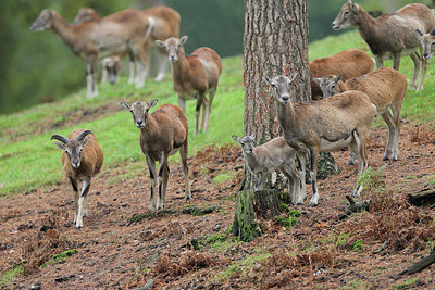 BUITEN BEELD Foto: 244203