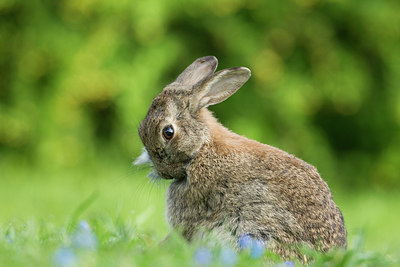BUITEN BEELD Foto: 244406