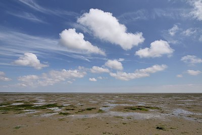 BUITEN BEELD Foto: 244469