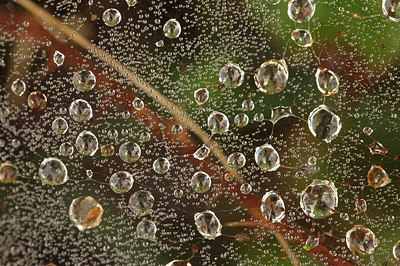 BUITEN BEELD Foto: 244483