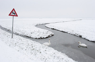 BUITEN BEELD Foto: 244498