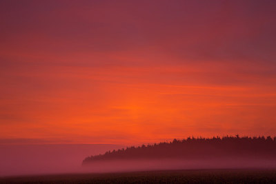 BUITEN BEELD Foto: 244561