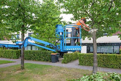 BUITEN BEELD Foto: 244566