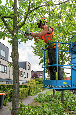 BUITEN BEELD Foto: 244567
