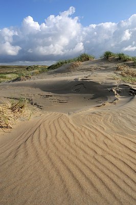 BUITEN BEELD Foto: 244628