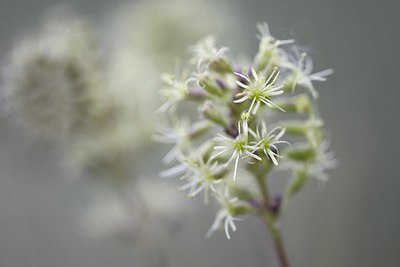 BUITEN BEELD Foto: 244660