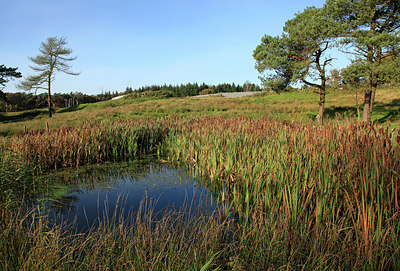 BUITEN BEELD Foto: 244743