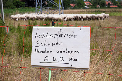 BUITEN BEELD Foto: 244777