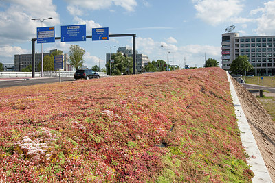 BUITEN BEELD Foto: 244789