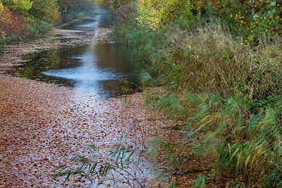 BUITEN BEELD Foto: 244827