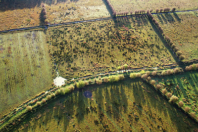 BUITEN BEELD Foto: 244882