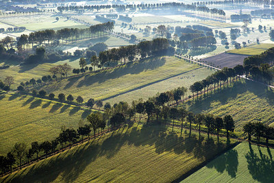 BUITEN BEELD Foto: 244884