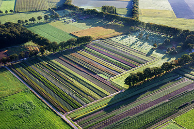 BUITEN BEELD Foto: 244887