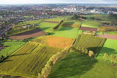 BUITEN BEELD Foto: 244896