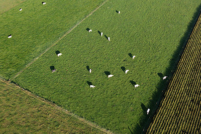 BUITEN BEELD Foto: 244909