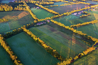 BUITEN BEELD Foto: 244911