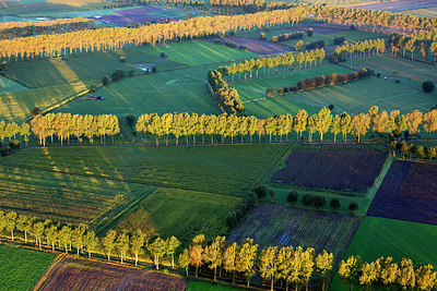 BUITEN BEELD Foto: 244914