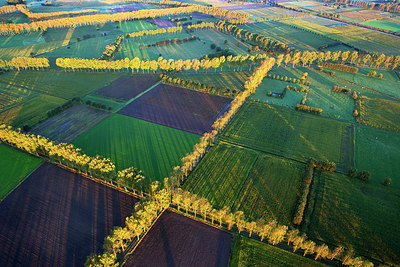 BUITEN BEELD Foto: 244915