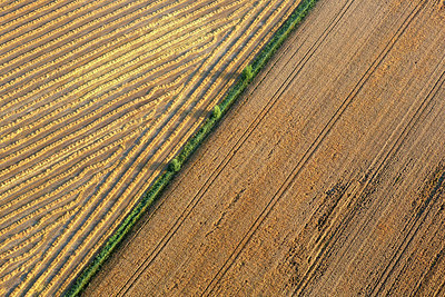 BUITEN BEELD Foto: 244938