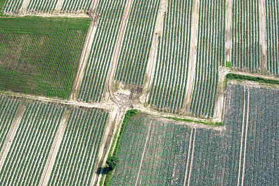 BUITEN BEELD Foto: 244962