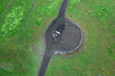 BUITEN BEELD Foto: 245000