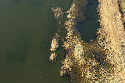 BUITEN BEELD Foto: 245006