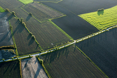 BUITEN BEELD Foto: 245030