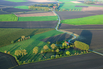 BUITEN BEELD Foto: 245044