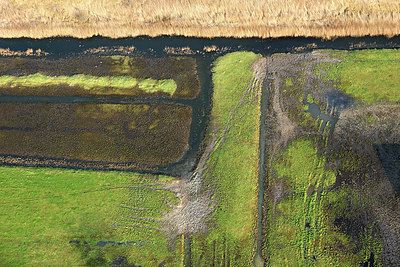 BUITEN BEELD Foto: 245065