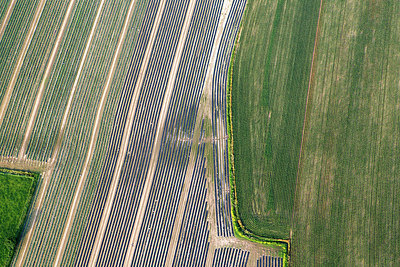 BUITEN BEELD Foto: 245112
