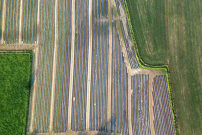 BUITEN BEELD Foto: 245113
